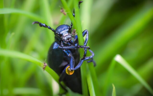 DSC00190-SharpenAI-Motion (2) DSC00190-SharpenAI-Motion (2)