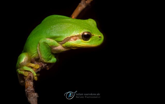 _STE9464-SharpenAI-Motion _STE9464-SharpenAI-Motion