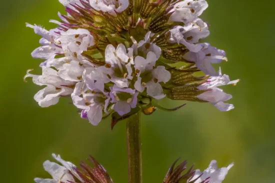 2024-08-03 09-18-47 (B,R8,S4)-SharpenAI-Motion-Edit