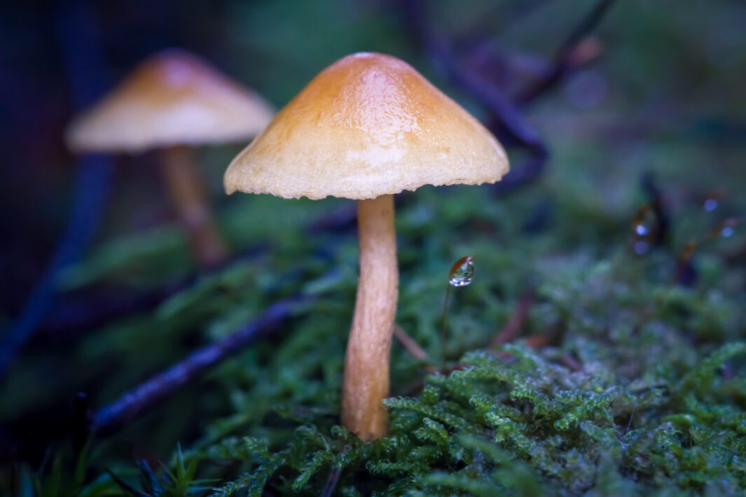 DSC04524-SharpenAI-Motion