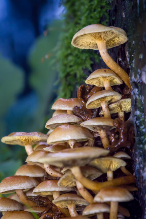 DSC04575-SharpenAI-Motion